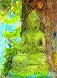 Turqouise Buddha, Jim's Garden